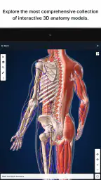 BioDigital Human - 3D Anatomy screenshot