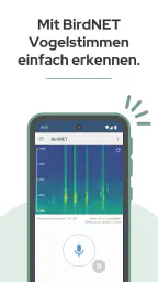BirdNET screenshot