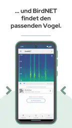 BirdNET screenshot
