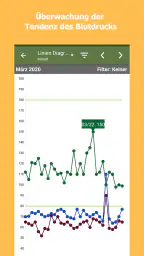 Blutdruck-Tagebuch screenshot