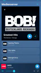 Bosman – SoundTouch Remote screenshot