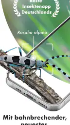 BUND Insekten Kosmos screenshot