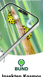 BUND Insekten Kosmos screenshot