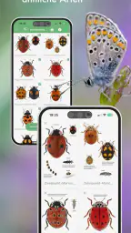BUND Insekten Kosmos screenshot