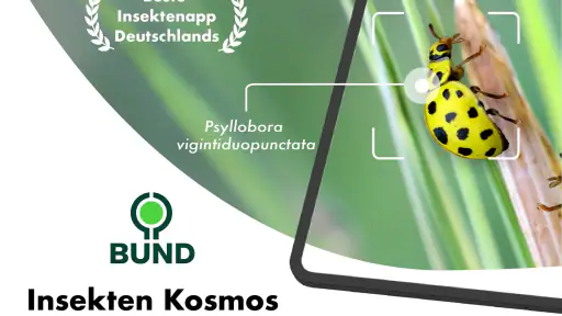 BUND Insekten Kosmos screenshot