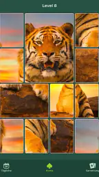 Cardscapes™: Puzzle screenshot