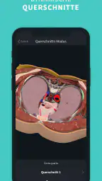 Complete Anatomy: Lernen in 3D screenshot