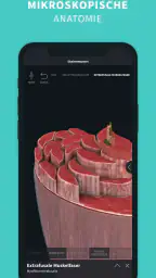 Complete Anatomy: Lernen in 3D screenshot