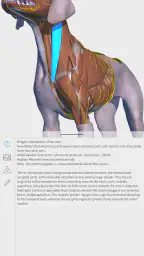 Complete Canine 3D - anatomy screenshot