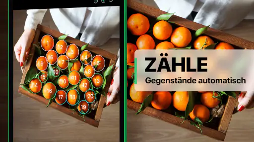 Count This – Objektzähler-App screenshot