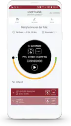 Dampfguide screenshot