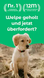 Dogo — Welpen- & Hundetraining screenshot