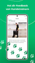 Dogo — Welpen- & Hundetraining screenshot