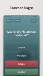 Endlos-Quiz Pro screenshot