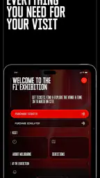 F1® Exhibition: Companion screenshot