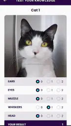 Feline Grimace Scale screenshot