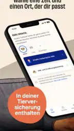 FirstVet screenshot