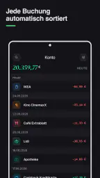 Frudini - Haushaltsbuch&Budget screenshot