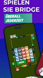 Fun Bridge screenshot