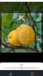 Gartenplaner fürs Gemüsebeet screenshot