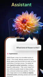 Gendi AI - Ask AI Assistant screenshot
