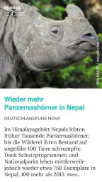 Good News App screenshot
