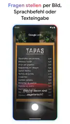 Google screenshot