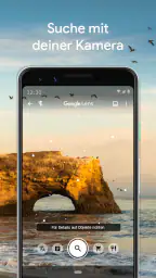 Google Lens screenshot