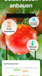 GrowIt: Gemüsegartenpflege screenshot