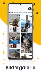 Haustier Gesundheit - Dog Cat screenshot