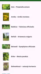 Heilkräuter/ Mamas Kräuter-App screenshot