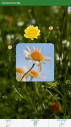 Heilkräuter/ Mamas Kräuter-App screenshot