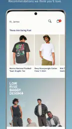 Hollister Co. screenshot
