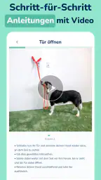 Hundeo: Hundetraining App screenshot