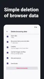 Internet Web Browser - ZEUS screenshot