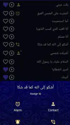 Islamic Ringtones and Songs screenshot