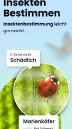 Käfer & Insekten Bestimmen screenshot