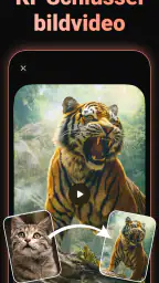 KI-Videogenerator – Viddo screenshot