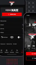 Kölner Haie screenshot