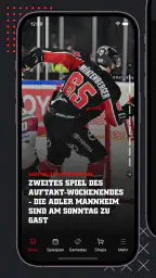 Kölner Haie screenshot