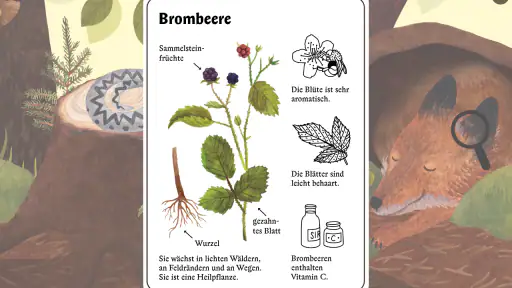 Komm mit raus, Entdeckermaus screenshot