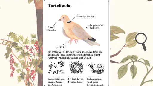 Komm mit raus, Entdeckermaus screenshot