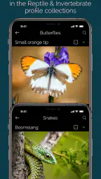 KrugerExplorer screenshot