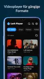 Lark Player:Musik-Player screenshot