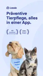 Lassie screenshot