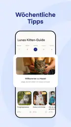 Lassie screenshot