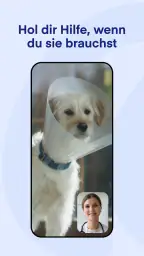 Lassie screenshot