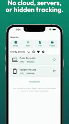 LocalSend: Transfer Files screenshot