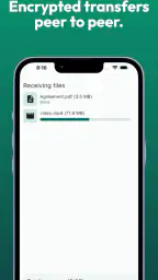 LocalSend: Transfer Files screenshot