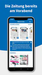 Main-Echo E-PAPER screenshot
